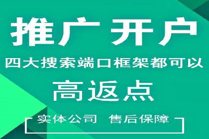 SEM竞价代运营公司成功案例解析